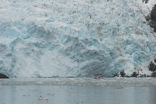 Holgate Glacier in Kenai Fjords National Park, Alaska.