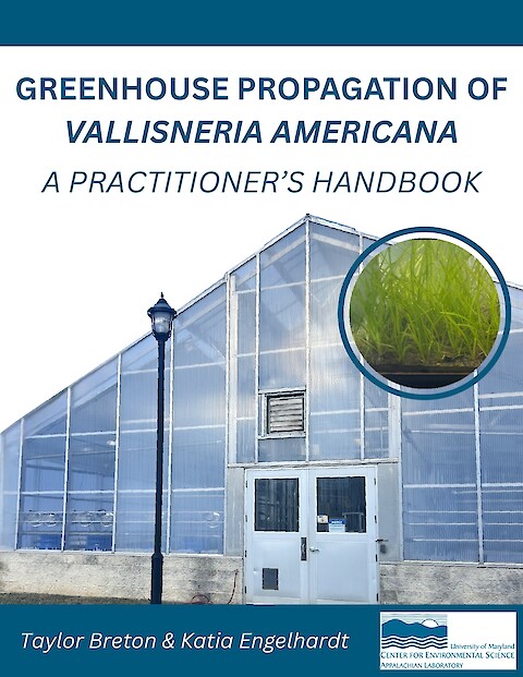 Greenhouse Propagation of Vallisneria Americana (Page 1)