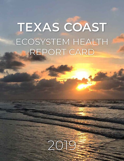 Cover of Texas Coast Ecosystem Health Report Card. Cover is a cloudy sunset over waves from the Texas coast.